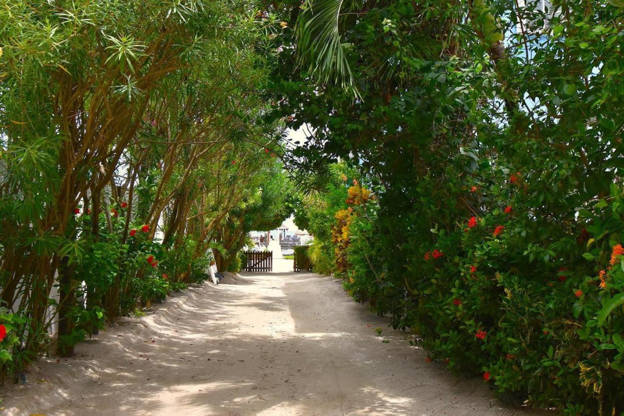 Sandy'S Secret Caye Caulker Exterior photo